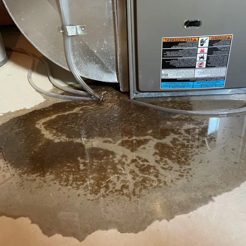 Pipe Burst and Leak Restoration in Herald Harbor, MD